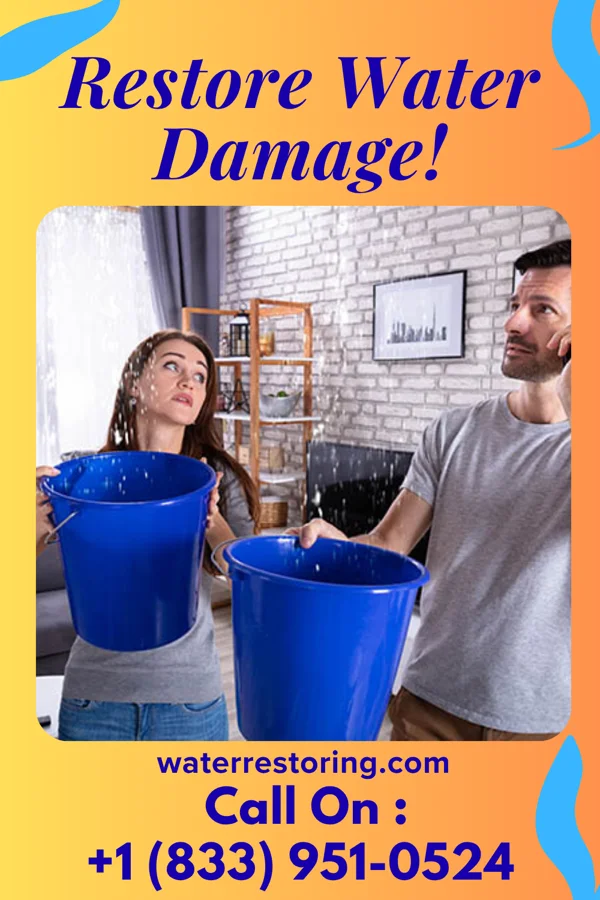 water restoration Capital Property Restoration Experts Waterloo